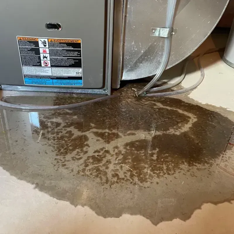 Appliance Leak Cleanup in Beach City, TX